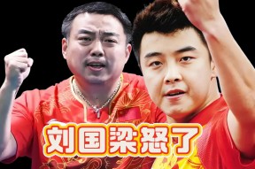 华体会-中国乒乓球队血洗德国乒乓球队,王皓关键制胜的简单介绍