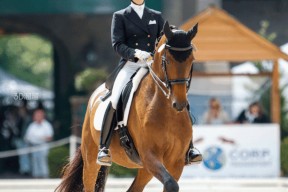 华体会下载-包含美洲马术比赛激战拉开帷幕,阿根廷骑手夺得冠军殊荣的词条