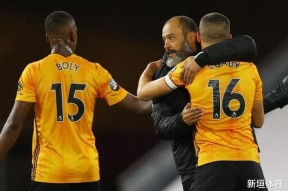 华体会体育-狼队主场告捷,提前锁定欧战名额