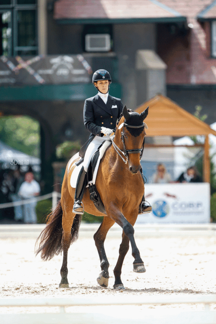 华体会下载-包含美洲马术比赛激战拉开帷幕,阿根廷骑手夺得冠军殊荣的词条  第1张 华体会下载-包含美洲马术比赛激战拉开帷幕,阿根廷骑手夺得冠军殊荣的词条  第1张