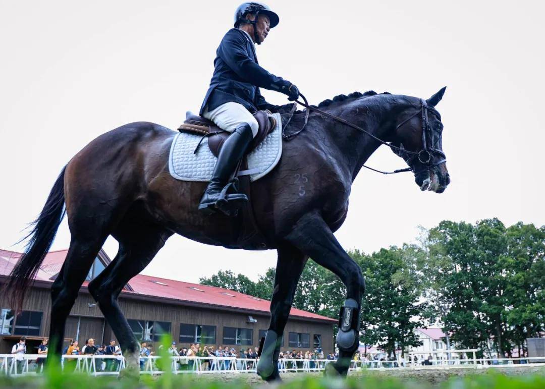 华体会下载-包含美洲马术比赛激战拉开帷幕,阿根廷骑手夺得冠军殊荣的词条  第2张 华体会下载-包含美洲马术比赛激战拉开帷幕,阿根廷骑手夺得冠军殊荣的词条  第2张