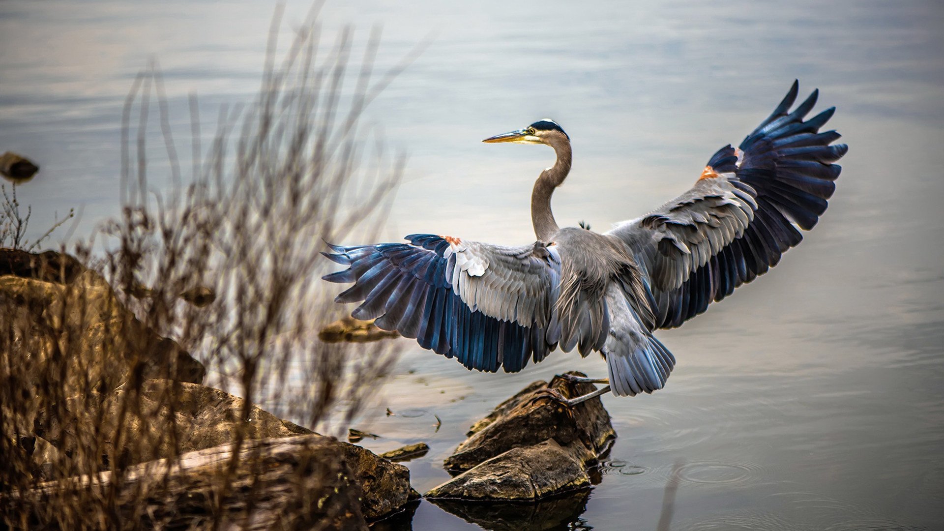 华体会体育-窒息抢七！土耳其压哨史诗绝杀智利，篮球世界杯诞生新传奇  第2张