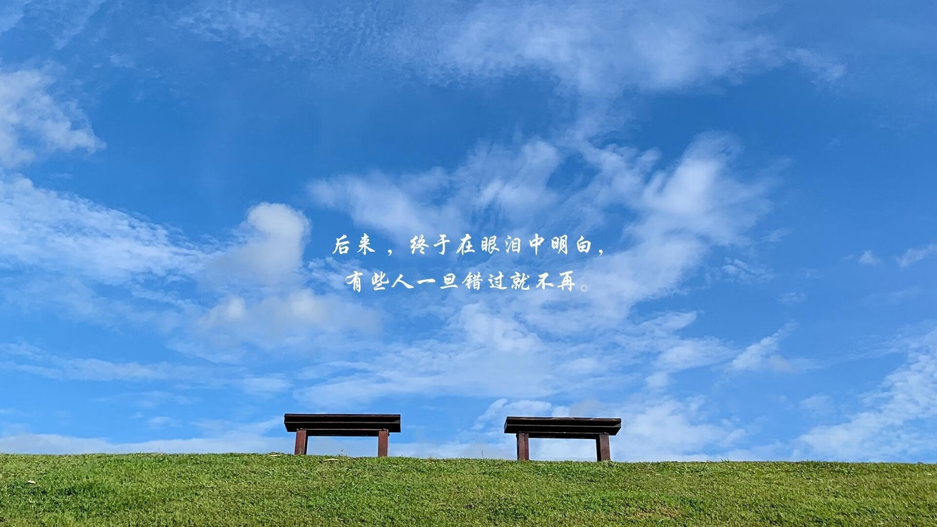 华体会登陆-破晓时的独舞者,弗拉霍维奇与卡塔尔的生死逆袭 第2张 华体会登陆-破晓时的独舞者,弗拉霍维奇与卡塔尔的生死逆袭 第2张