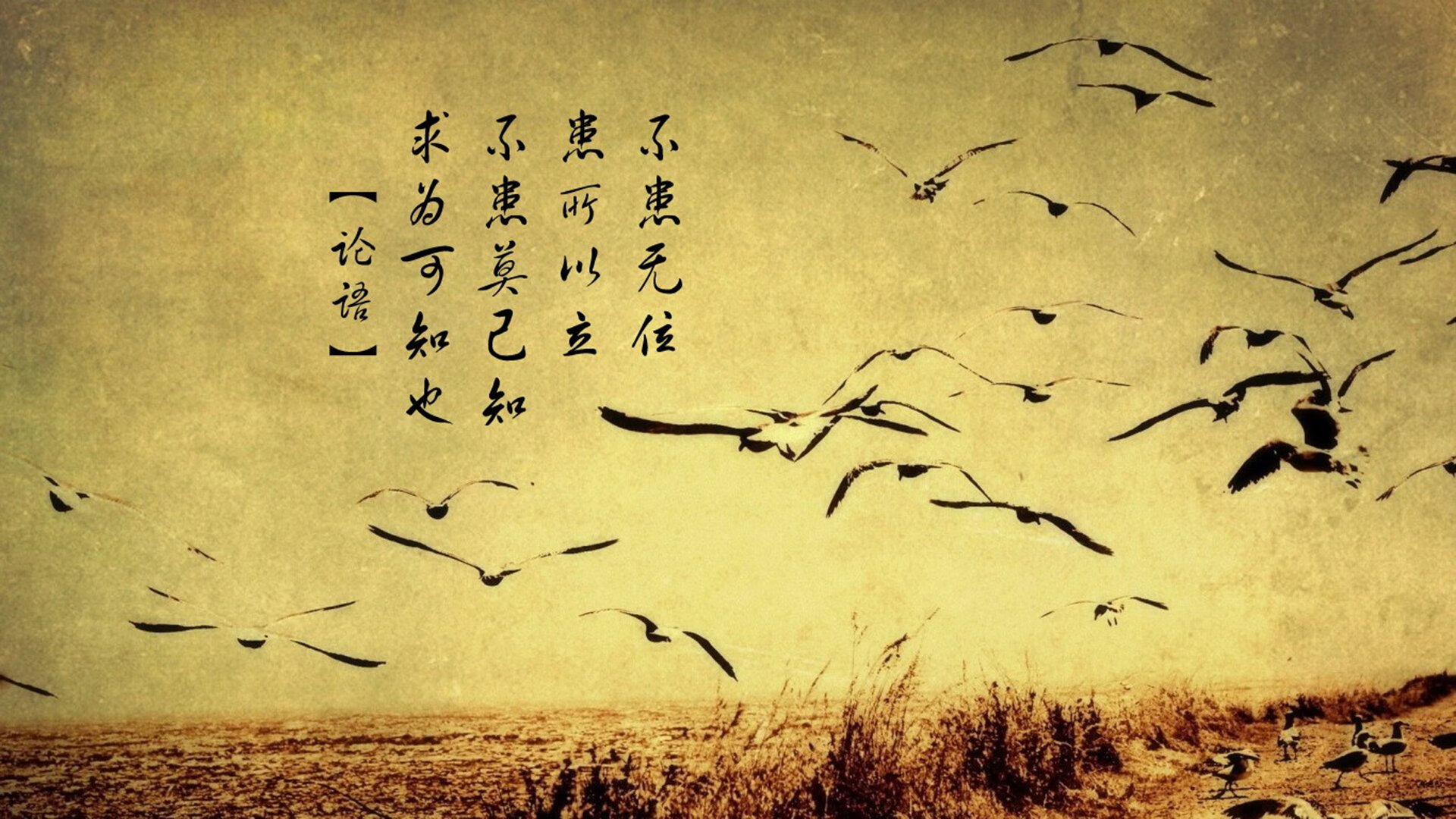 华体会-孤勇者之战,当波兰铁骑遇上潘帕斯雄鹰,德容用战术智慧点亮2026唯一火炬 第1张 华体会-孤勇者之战,当波兰铁骑遇上潘帕斯雄鹰,德容用战术智慧点亮2026唯一火炬 第1张